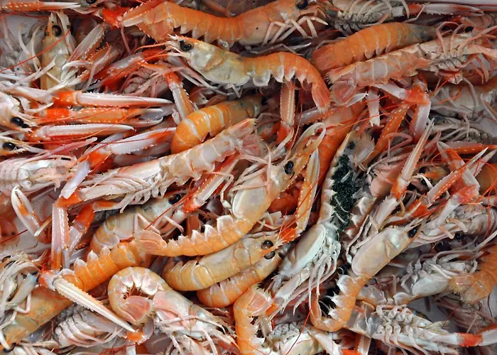 Miramare Breakfast And Parking 아파트 *