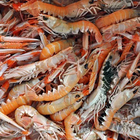 Miramare Breakfast And Parking 아파트 *