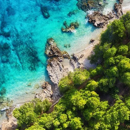 Miramare Breakfast And Parking 리예카